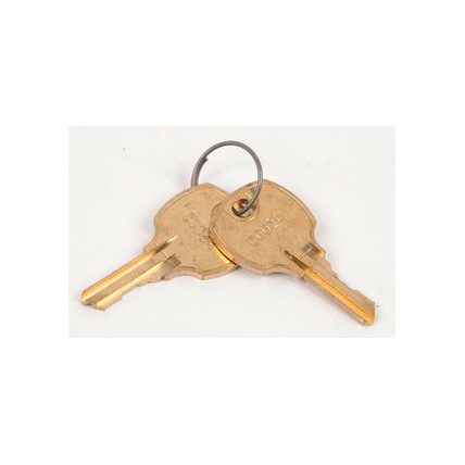 Hoshizaki key (2 ea on ring)