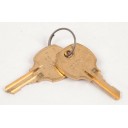 Hoshizaki key (2 ea on ring)