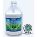 Cal-Green™ condenser cleaner, 1 gallon bottle