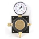 Secondary soda regulator, 1Px1P 100# wall mt, 1/4 MFL inlet, 1/4 MFL outlet with check, gold cap