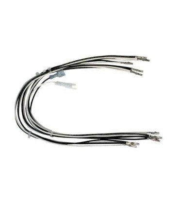 Wire harness assembly, 6v, CED