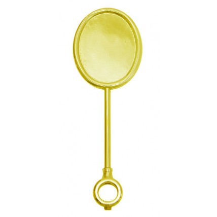 Gold oval vertical extra tall medallion holder