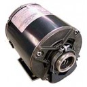 1/3 HP carbonator motor, welded base, 115V